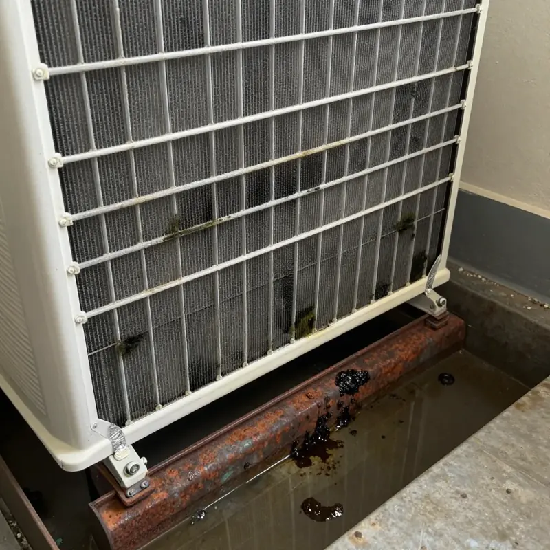 AC unit with dark mold streaks on the coil grille and dirty standing water in a rusty drain pan, Haughton, LA